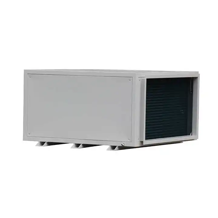 90L/D Ceiling Mounted Dehumidifiers for Industrial Commercial and Swimming Pool Dehumidifier