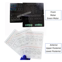 6Sizes Dental Composite Resin Filling Practise Template Teeth Morphology Board Anatomical Model Study Board