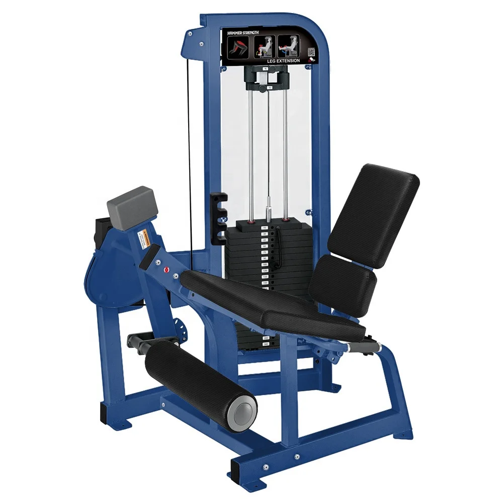 High End Gym Strength Equipment Leg Extensionpromote sales