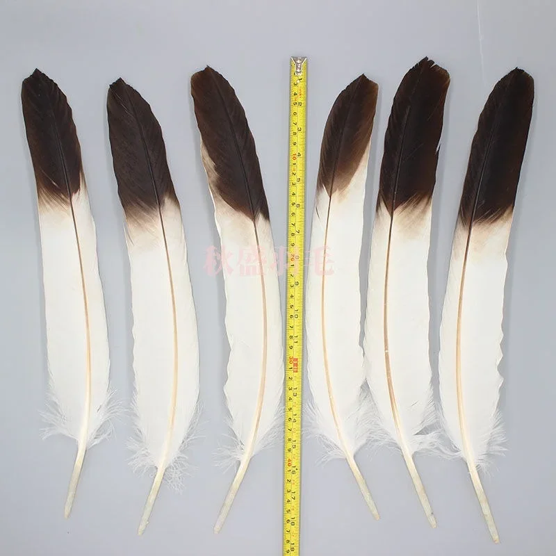 Rare feather bow and arrow feather material handicraft specimen feather celebration decoration stage performance DIY