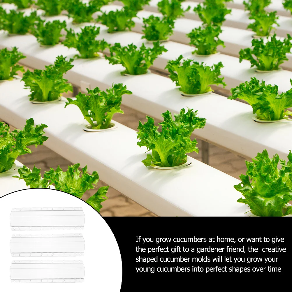 

3pcs Cucumber Growing Mold Square Fruit Shaping Mold For Garden Vegetable Growth Support Tool Cucumber Growth Molds