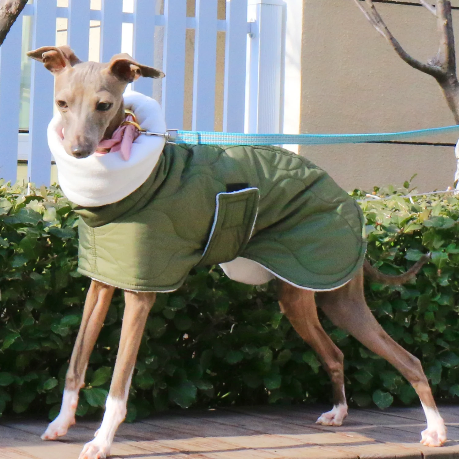 Winterroter Umhang für Hunde, eleganter verstellbarer Bund, dicker Baumwollmantel für Italien, Windhund, winddichte warme Jacke für Whippet – Detail 2