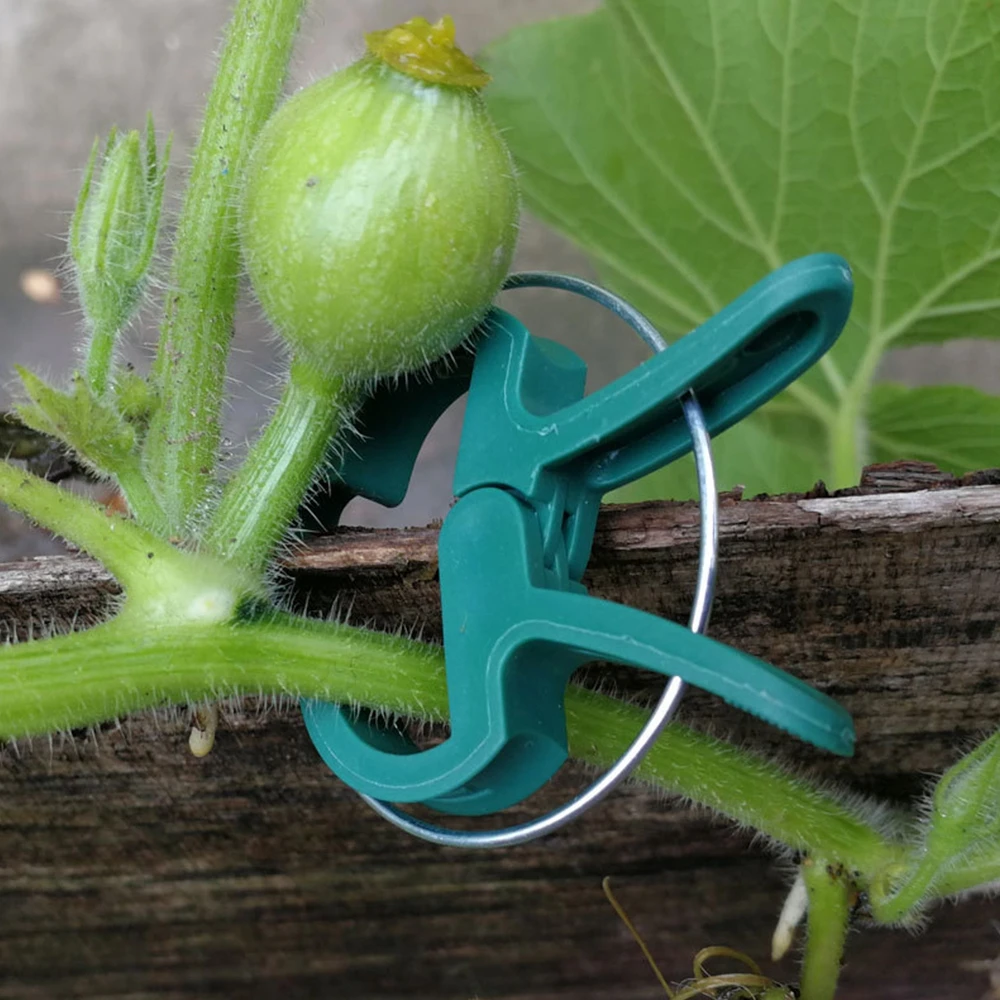 Pcs Tied Stem Fastener Branch Clamping Stakes Connector Vine Support Garden Tool Support Clips Farm Supplies Plant Fixed Clamp