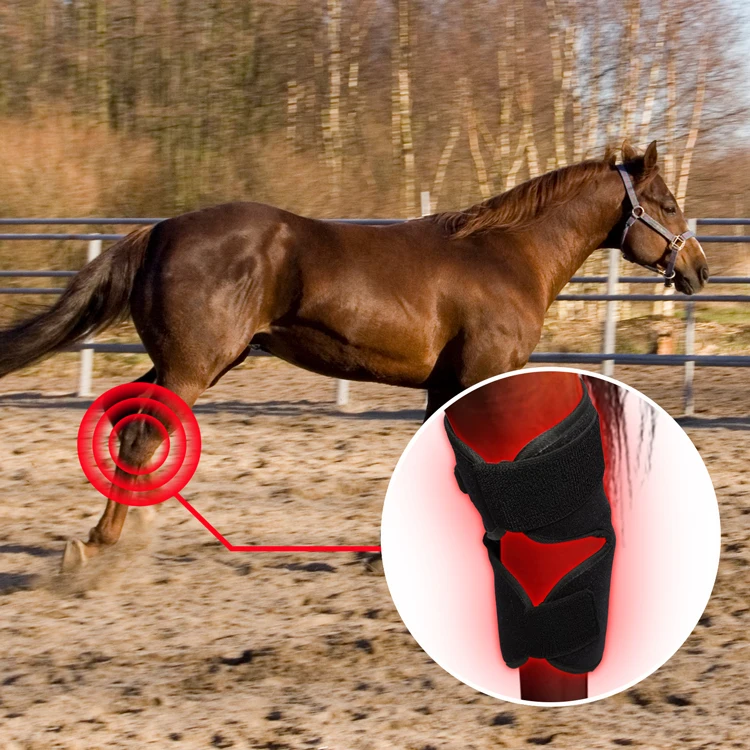 

Wounds Recovery Medical 660nm 850nm Infrared Light Therapy For Horses Knees