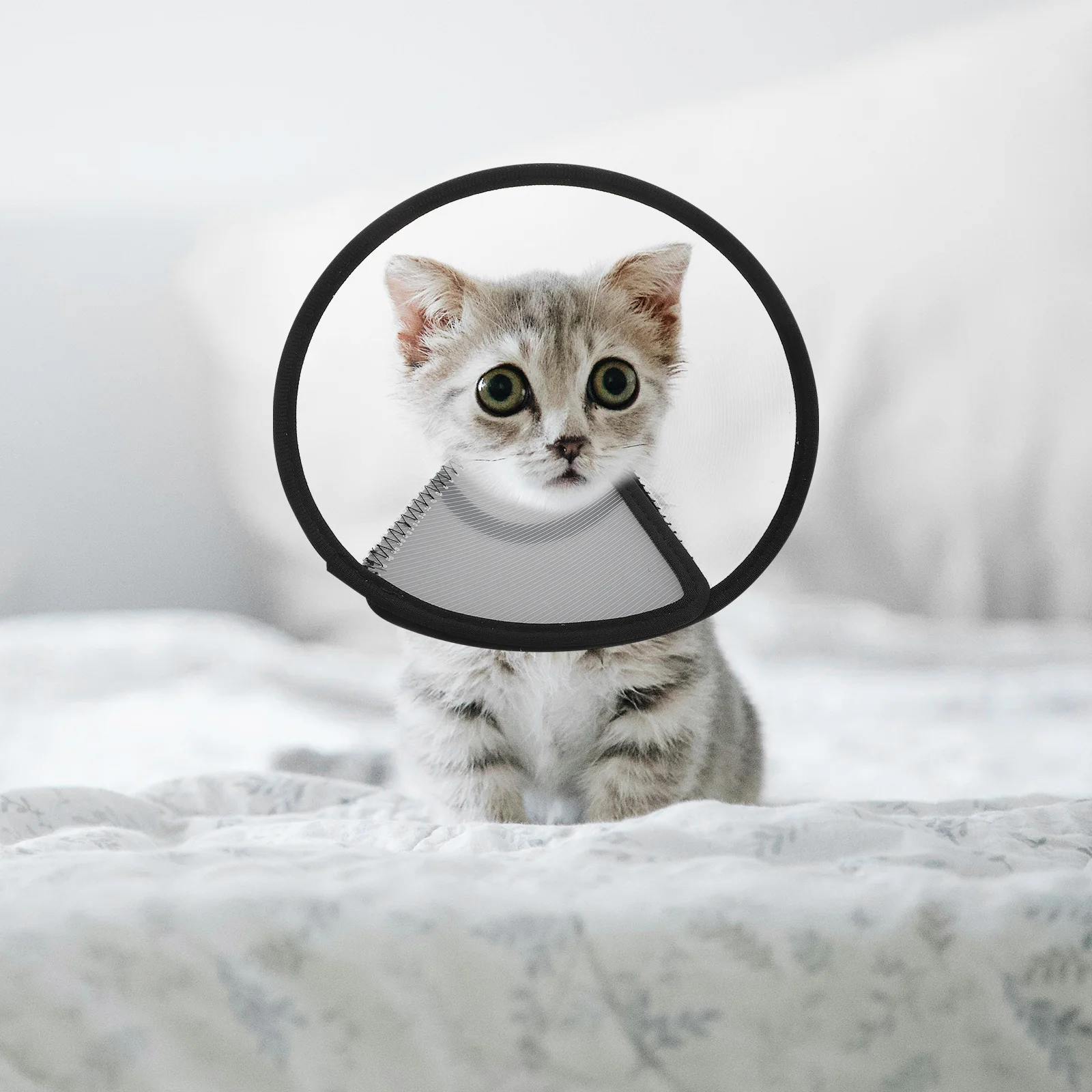 

4pcs Adjustable Pet Protective Collar Soft Recovery Cone For Cats Dogs Anti-Lick Wound Healing Elizabethan Neck Collar Small