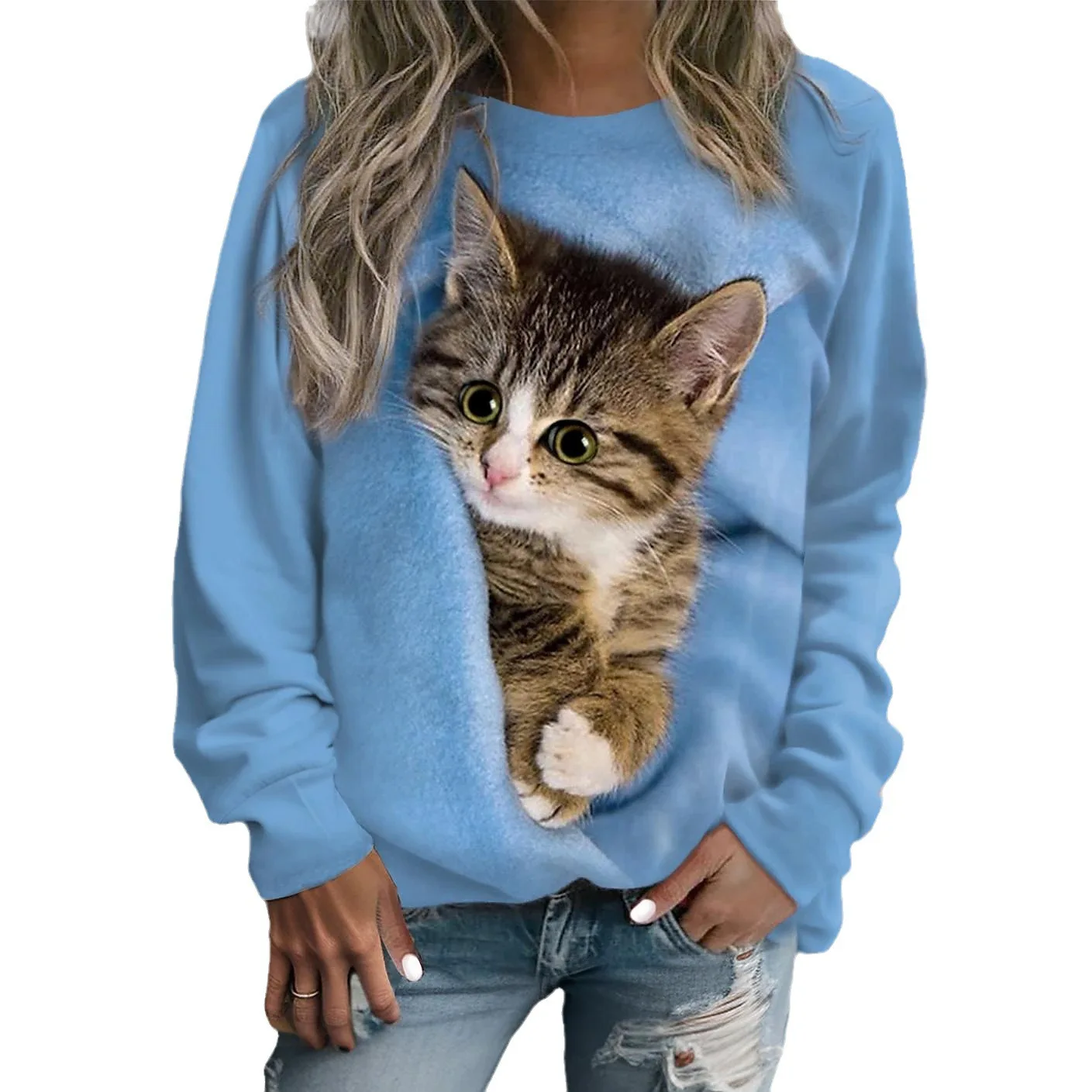 Funny Cute Cat Sweatshirts Animal 3D Print Hoodies Autumn Women Long Sleeve Y2k Hoodie Oversized Pullovers Tops Female Clothing