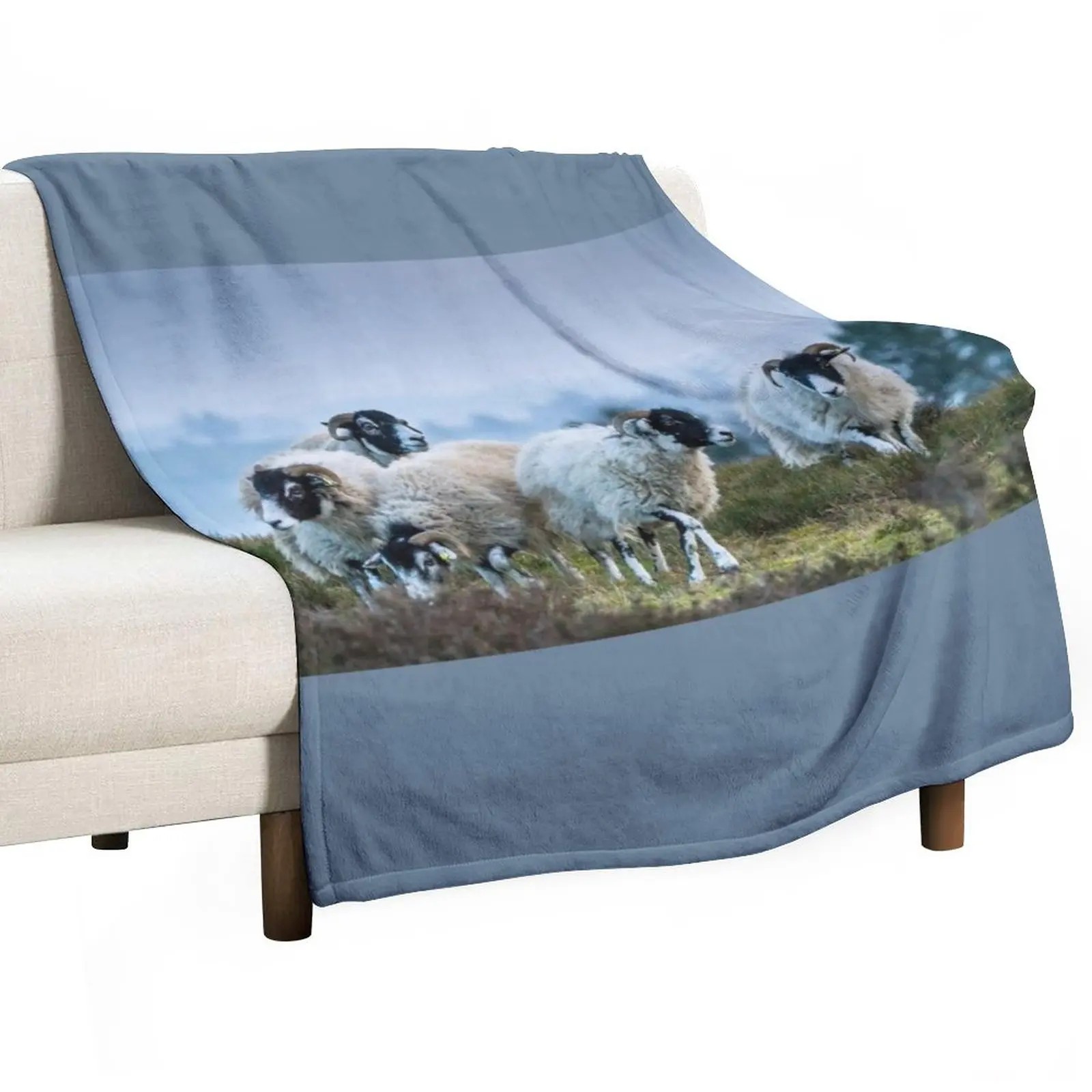 

Swaledale Sheep on Stanton Moor Throw Blanket Blankets Sofas Of Decoration wednesday