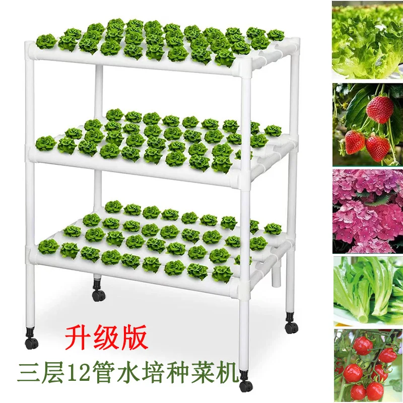 

Soilless Gardening on the Home Balcony: Growing Vegetables and Strawberries with Hydroponic Plants and Multi-Tiered Planters