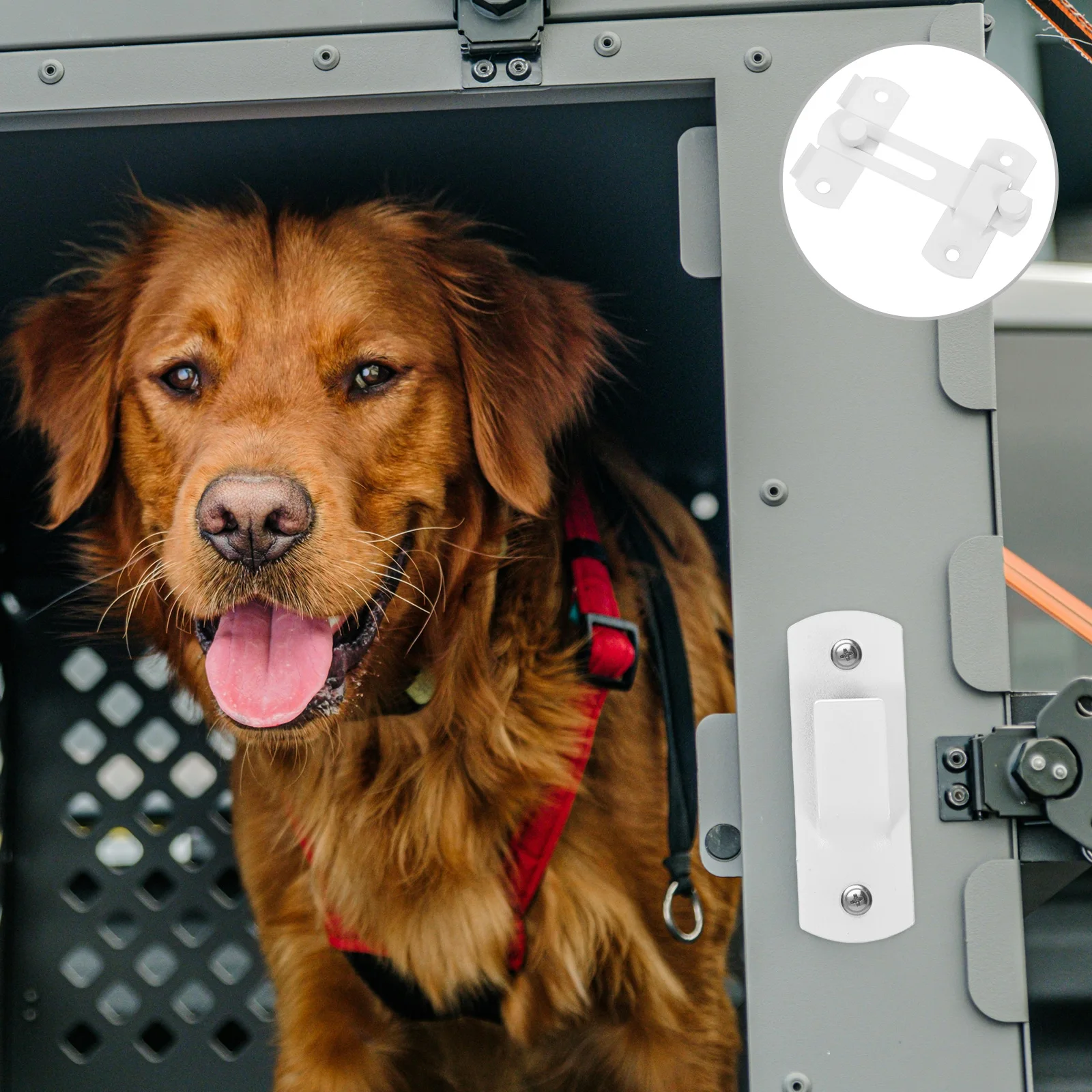 Zamek zatrzaskowy ze stali nierdzewnej do użytku na zewnątrz i wewnątrz, do bram, ogrodzeń, szop, łazienek, ogrodów.