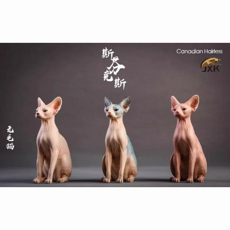 

Genuine Goods in Stock JxK.Studio Jxk010 1/6 Hairless Cat Sphinx Animal Model Static Product Desktop Decoration Toy Gifts