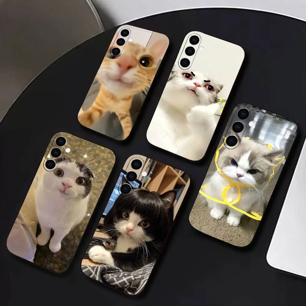 

Funny Of Pet Cats Phone Case For Samsung Galaxy A73,A72,A71,A70,A53,A52,A51,Others Soft Black Cover