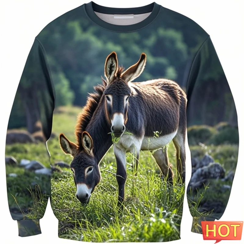 

Donkey Savannah Graphic Sweatshirts 3D Printed Men Pullover Hoodie Outdoor Sportwear Harajuku Fashion Animal Donkey Streetshirt