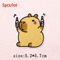 PE16795CT