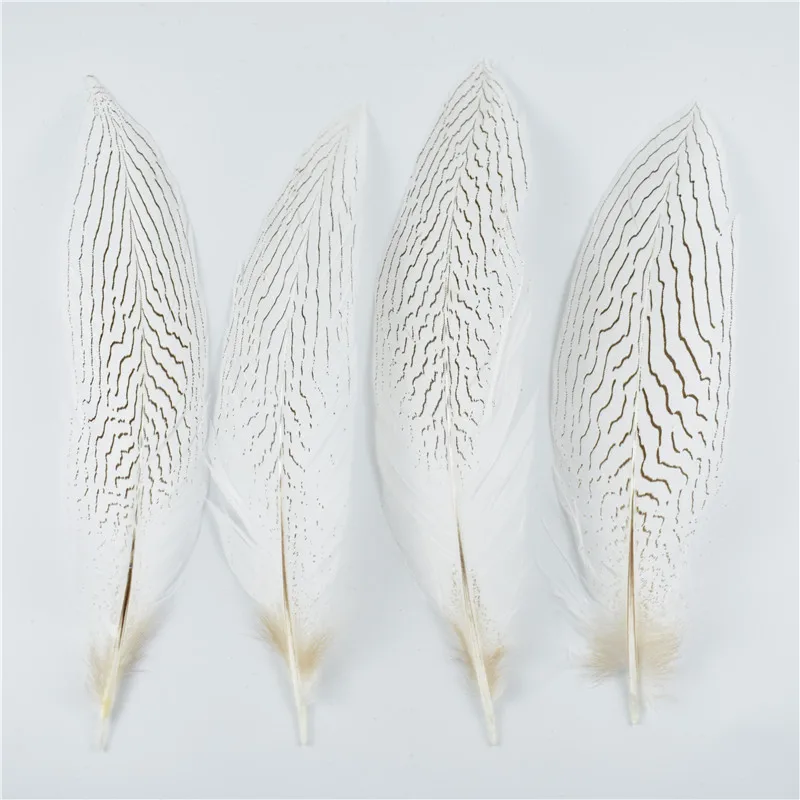 100Pcs Natural Silver Pheasant Tail Feathers 20-25CM for Crafts Wedding Decorations Silver Pheasant Feather Plumes