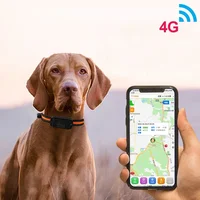 Rastreador GPS 4G para perros de caza