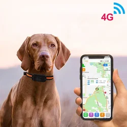 New 4G Hound GPS Locator Hunting Dog GPS Tracker Live Tracking Collar Safety Lock Free APP Smart Finder Pet Dog Anti-loss Device