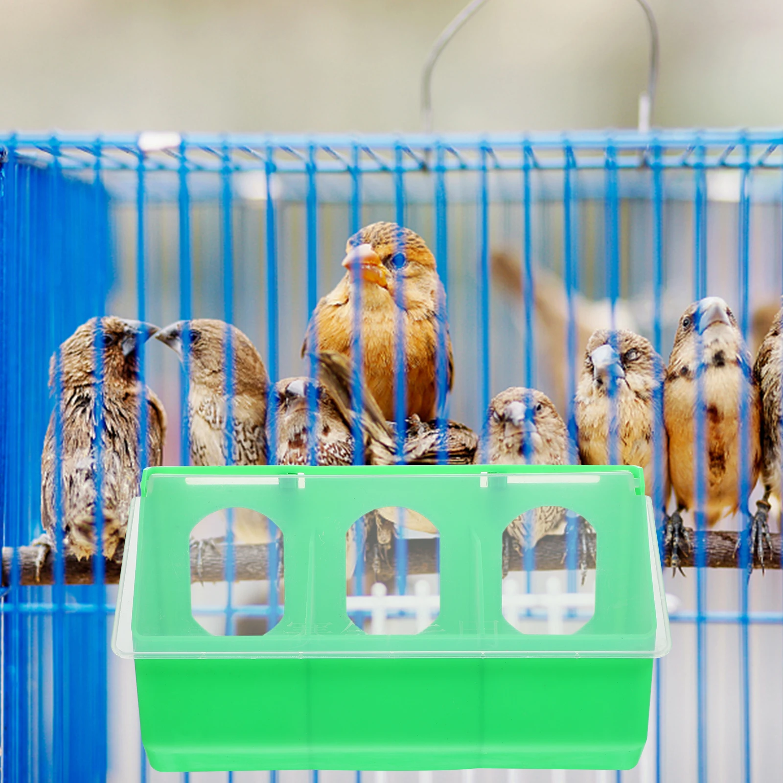 

Pigeon Feeder Durable Plastic Bird Food Box Hanging Cup Multi Function Pet Accessories Quail Wear Resistant Easy Clean Long Term
