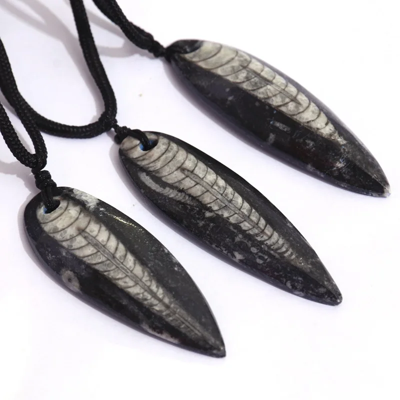 Armenoceras Ordovician 480 Million Years Fossils Pendant Necklace Paleo-oceanic Animal Specimen Rope Chain Statement Jewelry