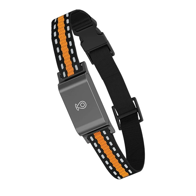 GPS-Tracker-Halsband für Katzen und Hunde, IP67 Wasserdichter Anti-Verlust Smart Pet Locator. Echtzeit-WLAN-Standortverfolgung, Kein Abonnement Erforderlich, Zuverlässiges Sicherheitsgerät für