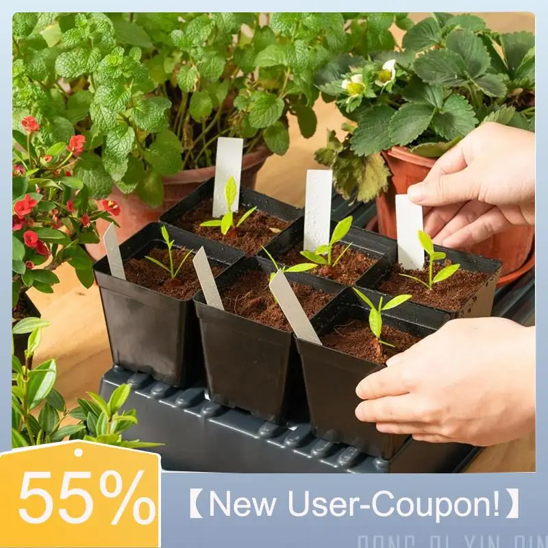 【Fast Delivery】Square Seedling Pots Flexible Plastic Seedling Pots Are For Plants And Succulents In Square Pots Black (100PCS)