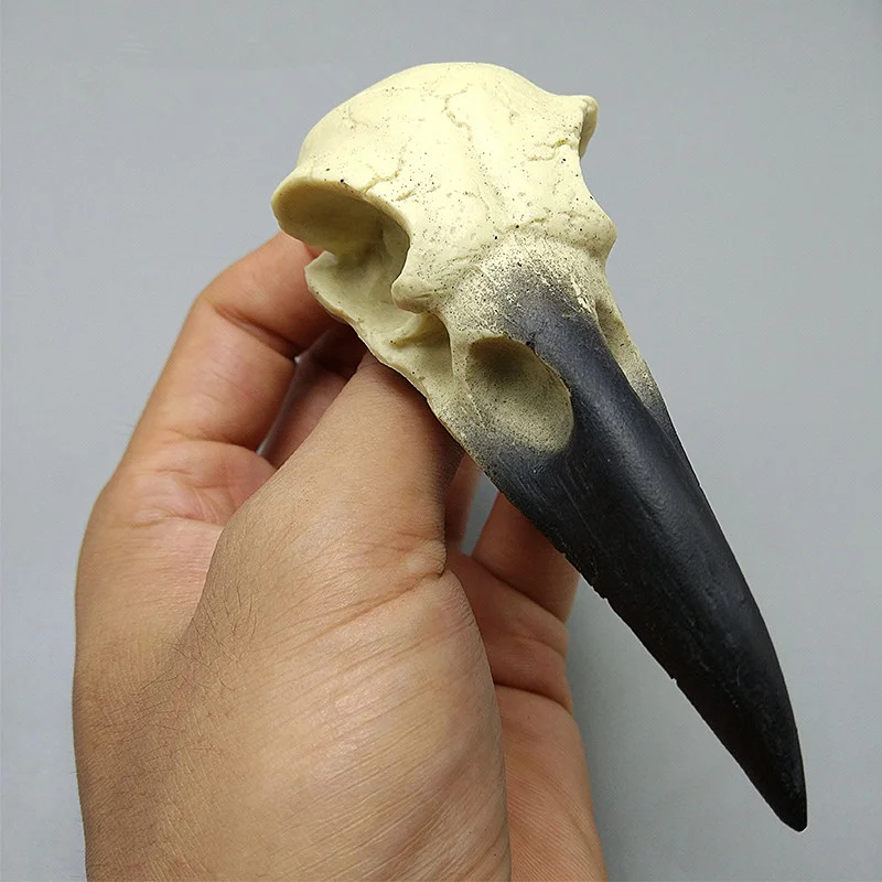 Crow Skull Silicone Mould Chocolate Gypsum Candle Baking Mold