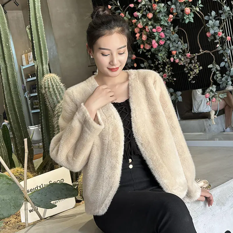 New Rabbit Fur Imitation Fur Coat Women\'s Mink Fur Coat Short and Versatile Internet Famous Plush Coat