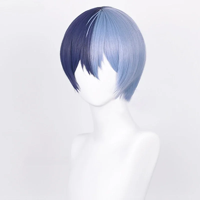 High Quality Anime Aoyagi Toya Shinonome Akito Cosplay Wig Heat Resistant Hair Halloween Men Anime Wigs image 4
