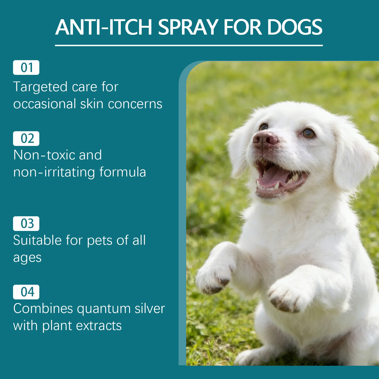 Hundespray gegen Juckreiz, sanft beruhigt gereizte Haut, lindert Juckreiz und Beschwerden, sicher und natürlich für Hunde jeden Alters, Hautpflegespray 120ml – Detail 9