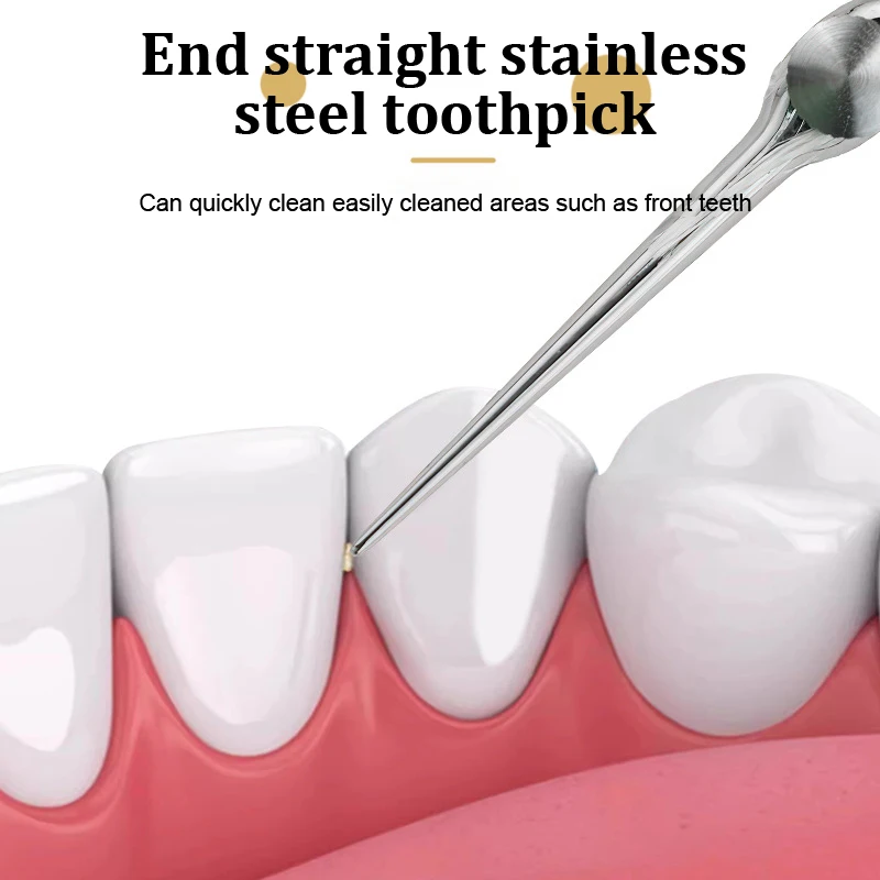 Cure-dents portables réutilisables en acier inoxydable, poignée de fil dentaire, nettoyeur de dents, outils de livres oraux