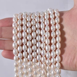 AAA 2-9mm High Quality Natural Freshwater Pearls Cultured Rice Shaped Pearl Loose Beads for Jewelry Making DIY Necklace Bracelet