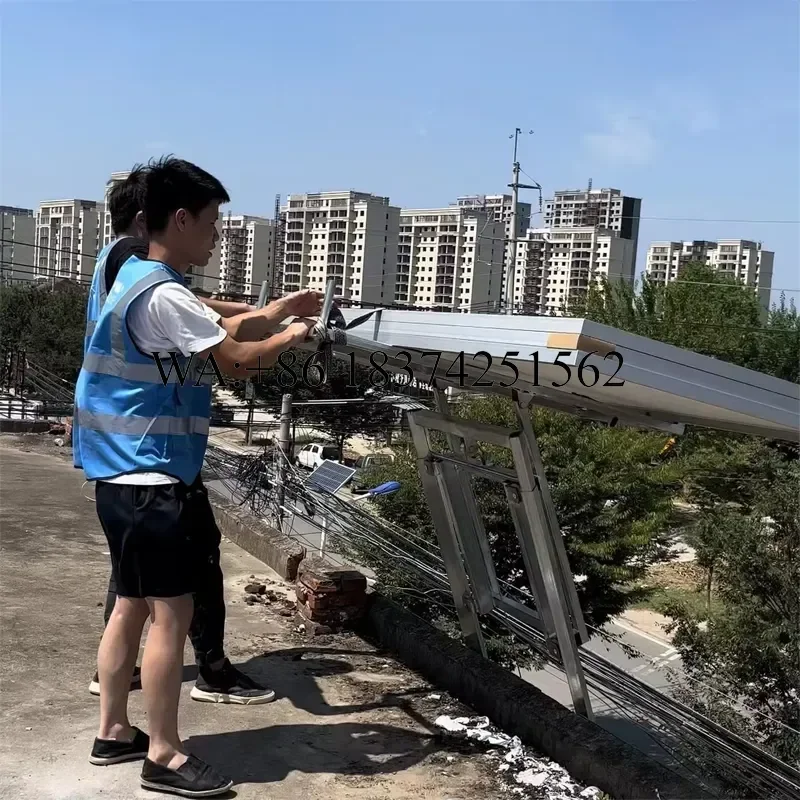 Wmwmnu Solar Panel Lifter Construction Hoisting Equipment Wire Rope Lift for New Home Use Restaurants and Hotels