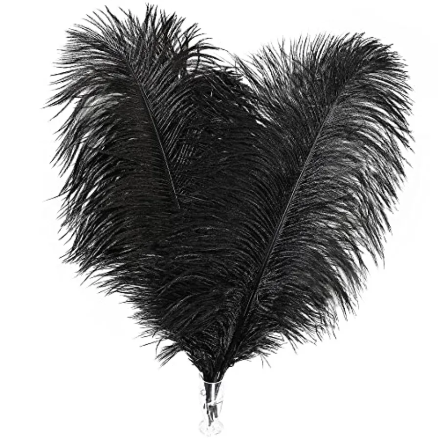 

Soarer Black Ostrich Feathers Bulk - 30pcs 8-10 inches for Wedding Party Centerpieces, Home Decorations and DIY Crafts Black