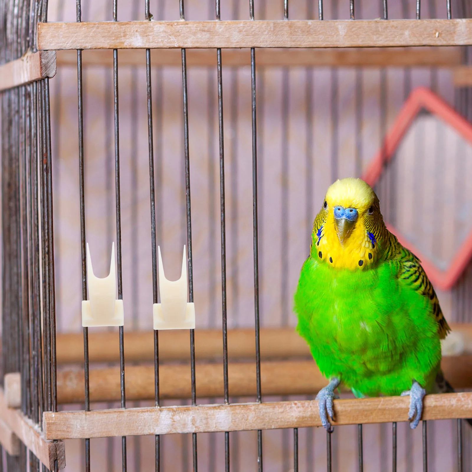 50 قطعة قفص الطيور شوكة الفاكهة متعددة الحجم سيخ الفاكهة للببغاوات البلاستيك القوي حامل طعام الطيور لأنشطة التثبيت اليومية