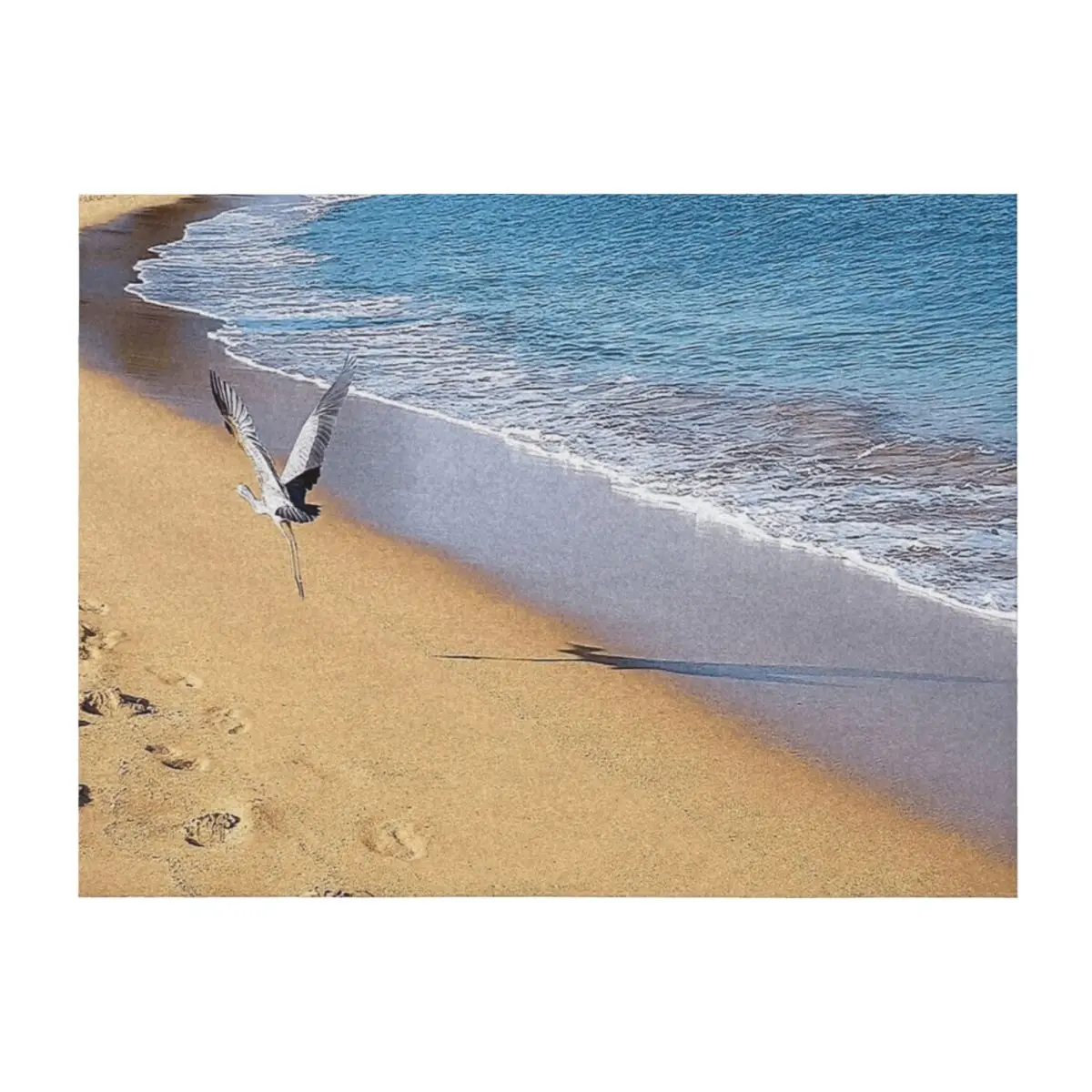 

Blue Crane Flight to Freedom Throw Blanket Flannels Kid'S Plaid Picnic Blankets