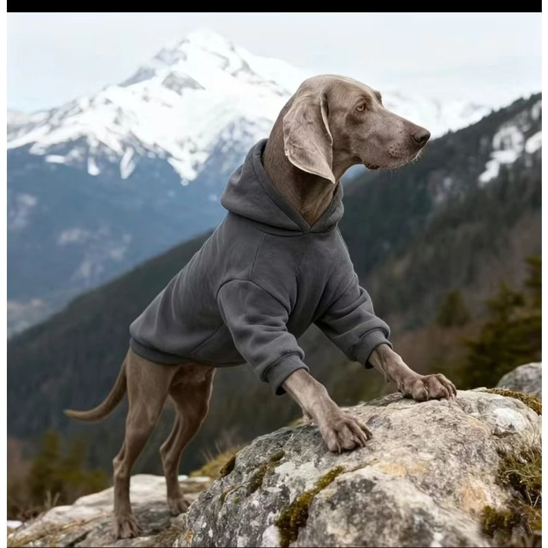 New pet large dog clothes autumn and winter velvet thickened color matching hooded dog sweater