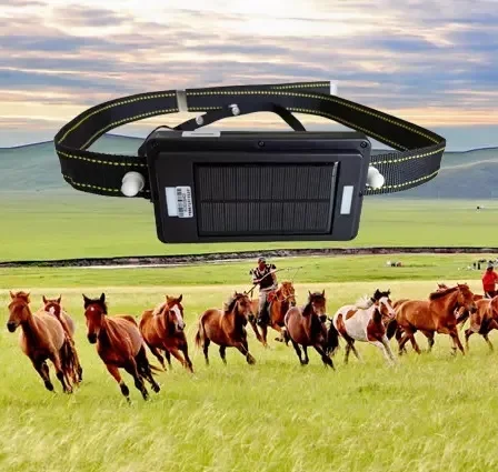 

Cattle GPS Tracker 4G F10 GPSONE Tracker for Cow Long Battery Life 20000mAh Solar Powered Collar GPS Tracking for Livestock Cows
