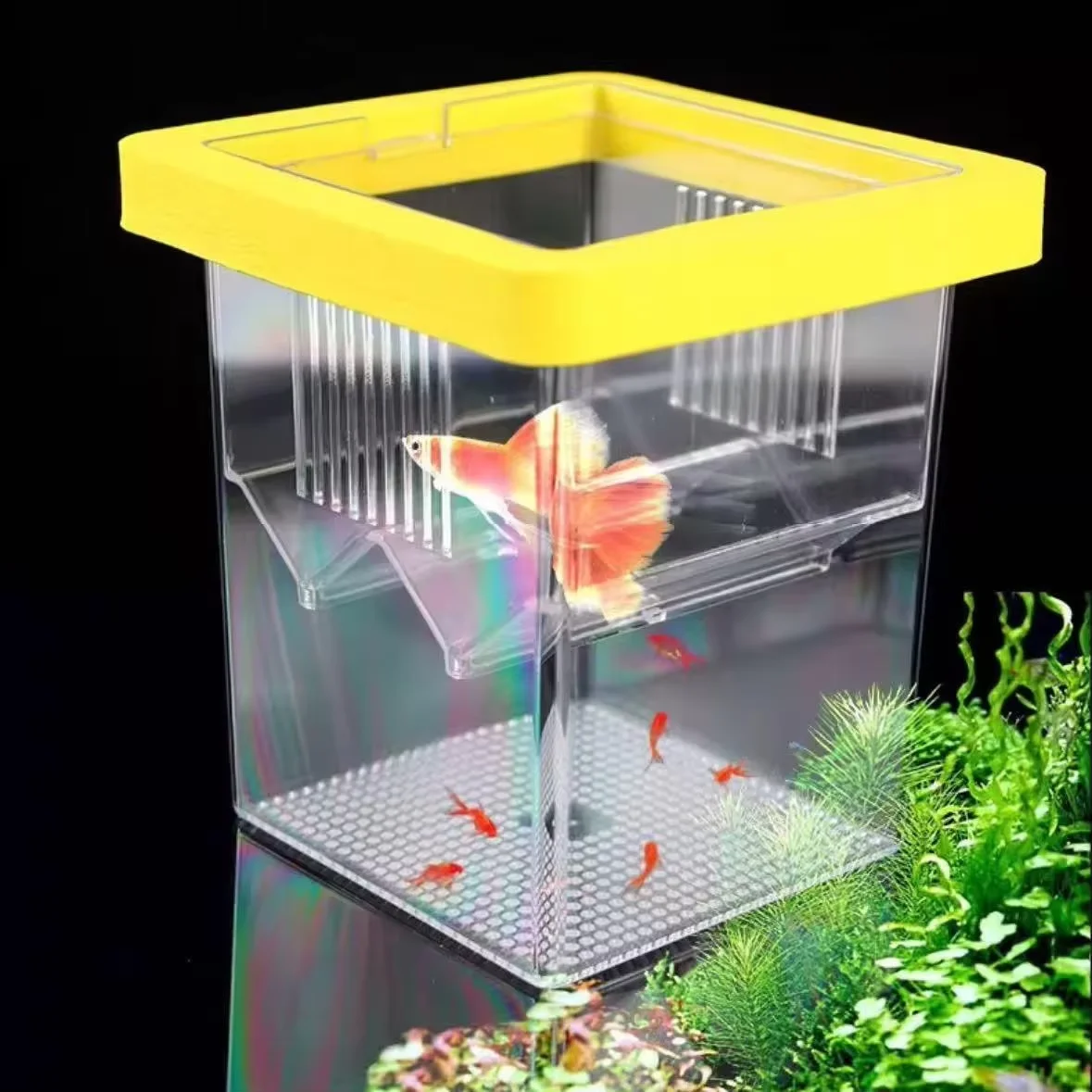 Double-Layer Betta Fish Separation Box Safe Nursery for Fry Aquarium Breeding Tank with Dividers