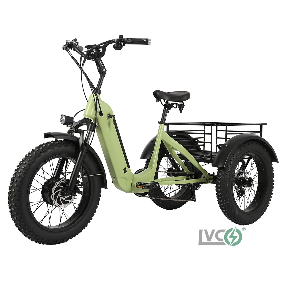 Folding Electric 48v 350w Rear Wheel Hub Motor Fat Tire 20 Inch Tricycles With Lithium Battery Fatbike