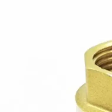 Water Conservancy Projects Brass Check Valve Backflow Prevention Backflow Prevention Lift Type Mechanism Pipeline Systems