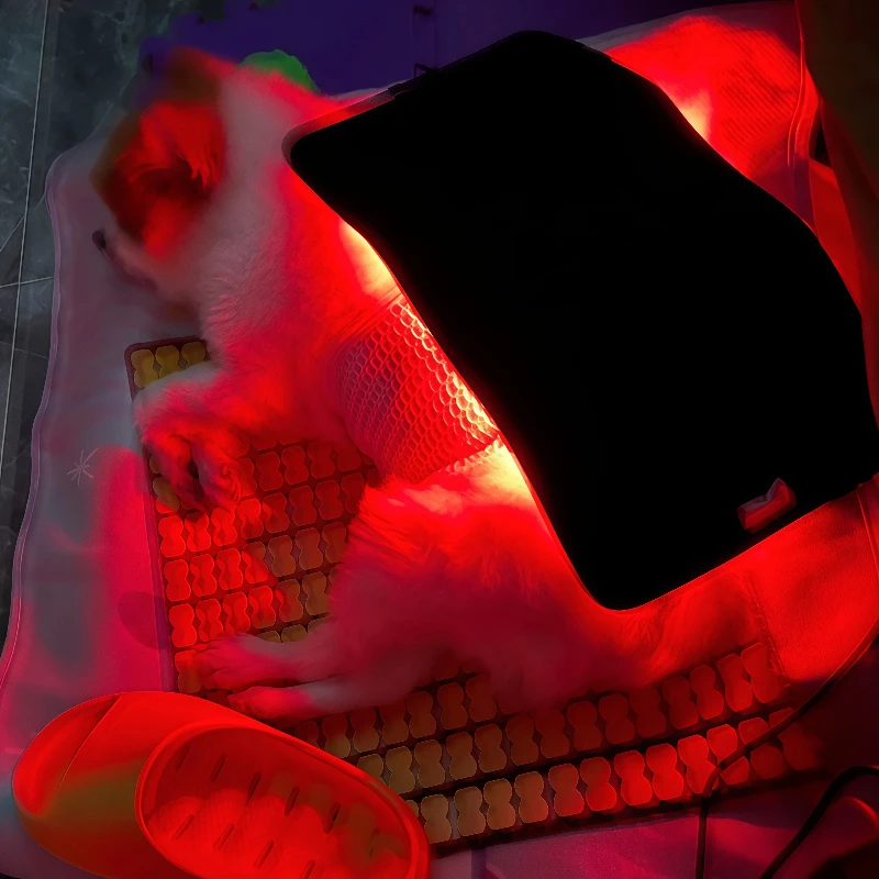 

Профессиональное устройство для лазерной терапии домашних животных, инфракрасный красный свет, заживляющий пояс для облегчения боли в суставах собак и мышцах