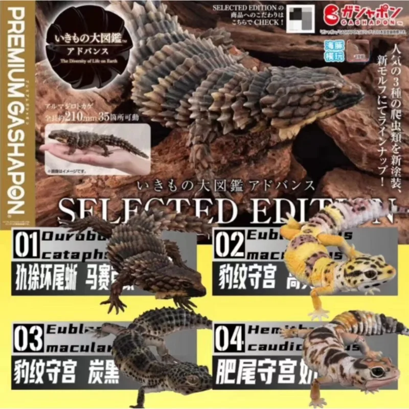 

Original Goods in Stock BANDAI The Diversity of Life on Earth Eublepharis Macularius Simulated Animal Model Twist Egg Toy Gift