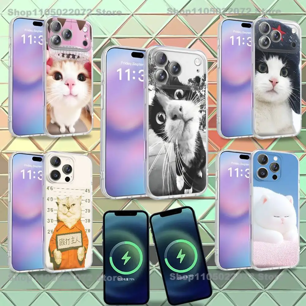 Cute cat For iPhone 17,12,11,14,13,15,16,Plus,Air,Pro,Max,E,Mini for Magsafe Magnetic Frosted Phone Case