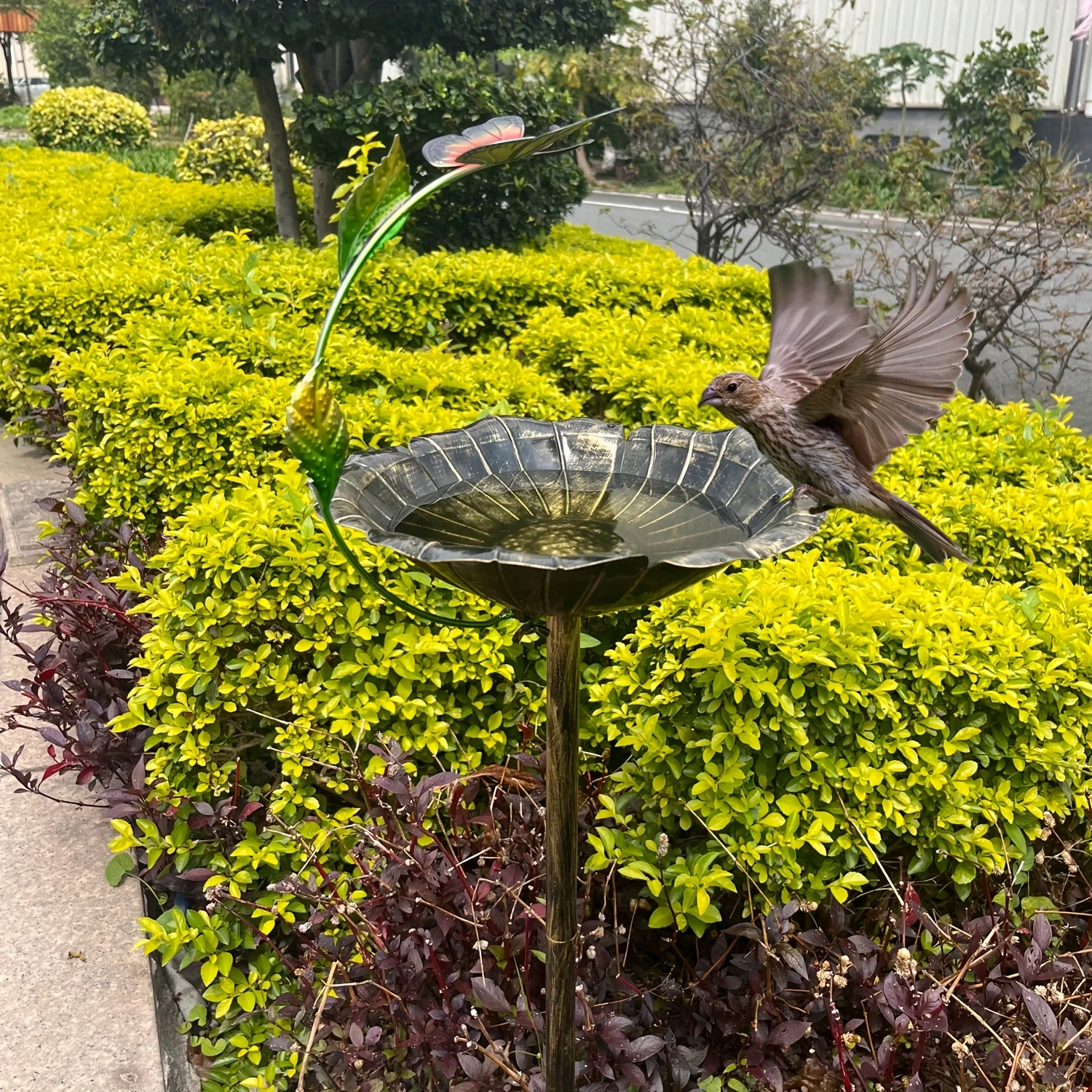 

1 ванна-бабочка для птиц, разработанная с бабочкой и цветочным рельефом, изготовленная из высококачественной литой бронзы, обработанная антикварной отделкой ручной работы для предотвращения ржавчины и предотвращения долговечности; Создает естественную фун