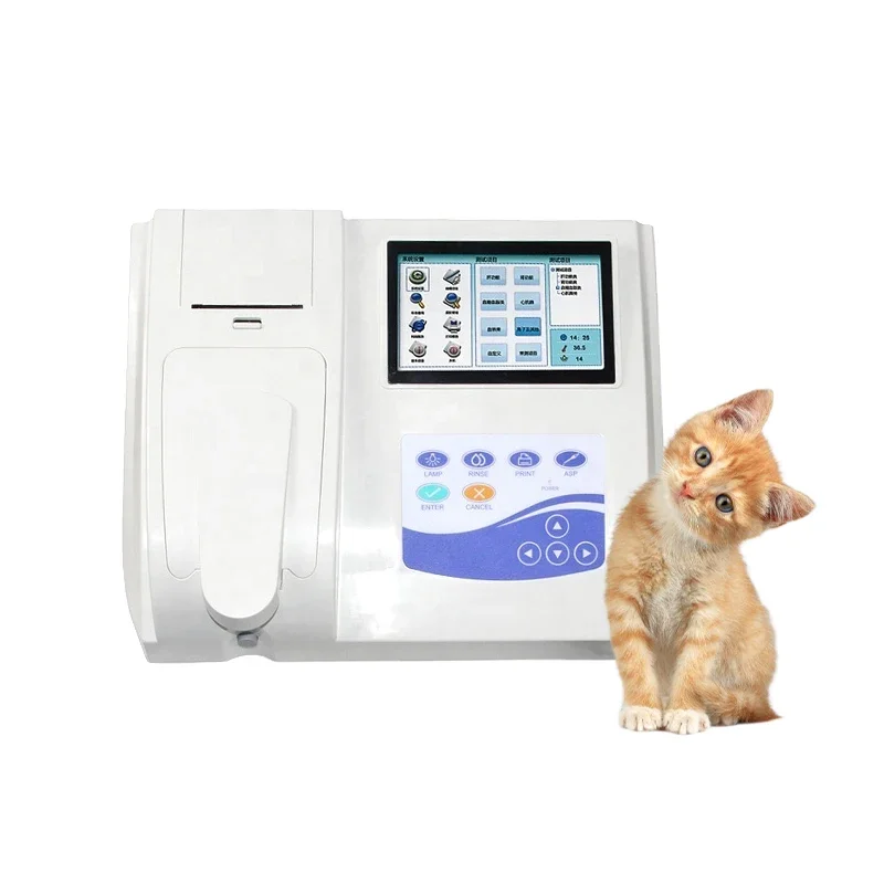 

BC300 Veterinary Equipment Semi Automatic VET bio chemistry analyzer