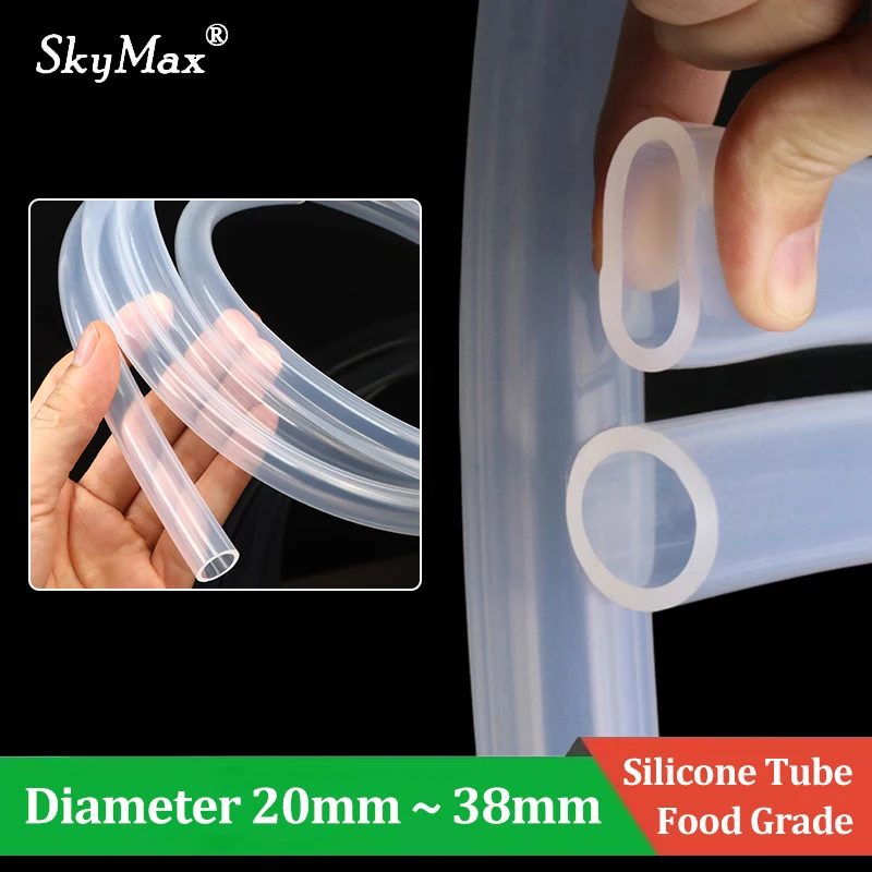 Transparent Silicon…