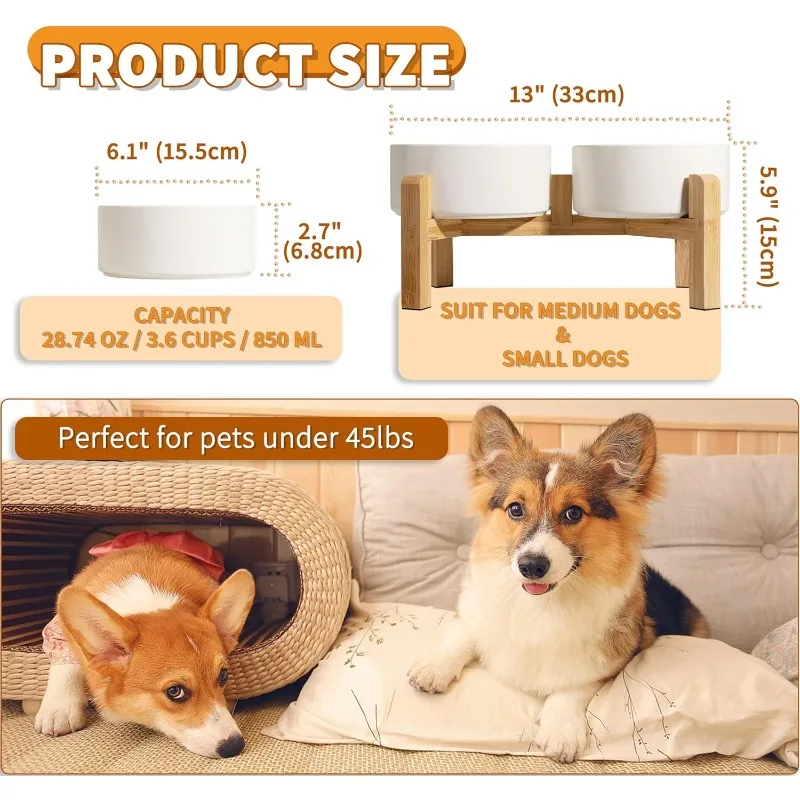 Thumbnail 2 - #88 Pet Bowl Stands Comparison Guide