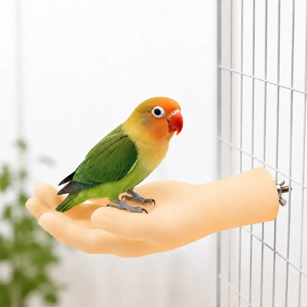 Anti Gnaw Parrot Stand Hand-shaped Parrot Perch Stand with Screw Fastener Non-slip Bird Cage Perch for Budgie for Cage