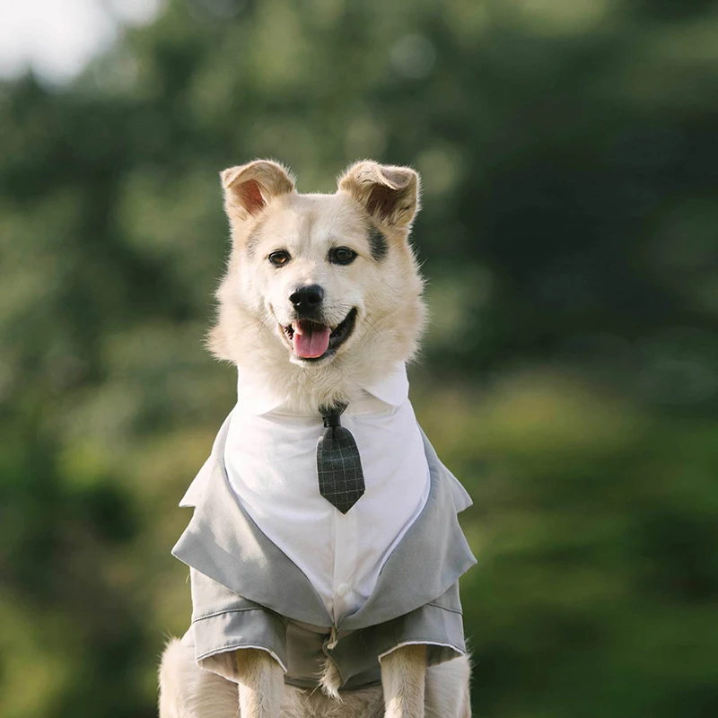 Pet Suit Dog Dress Tuxedo Wedding Clothing Pet Costume Dress Dog Tie Suit Kostium Dla Psa Traje Perro Ropa De Perros Mascotas