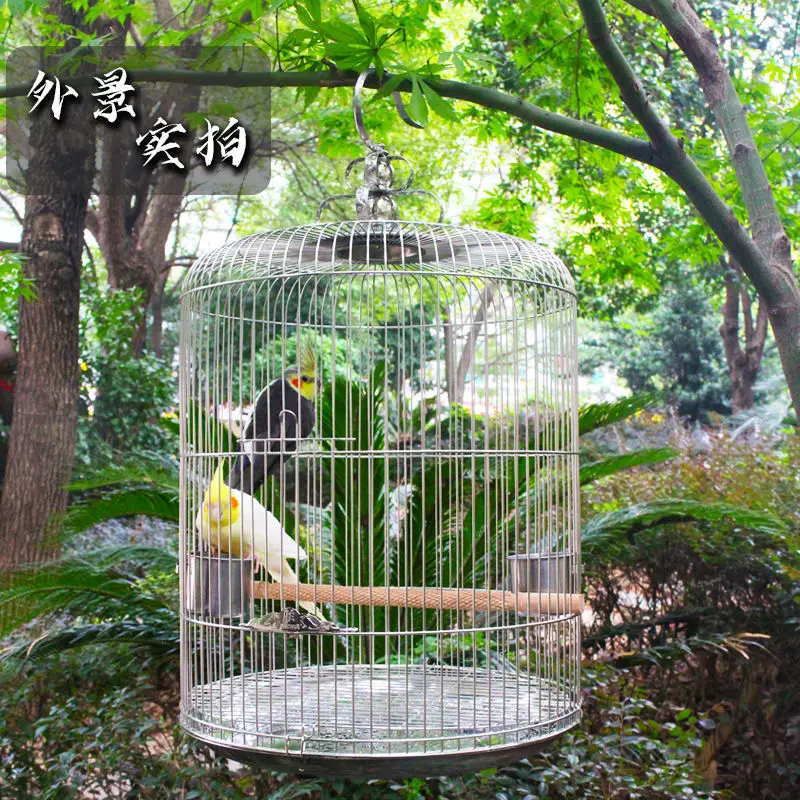 Stainless steel birdcage size model portable starling thrush wren luxury house  cage with bird park