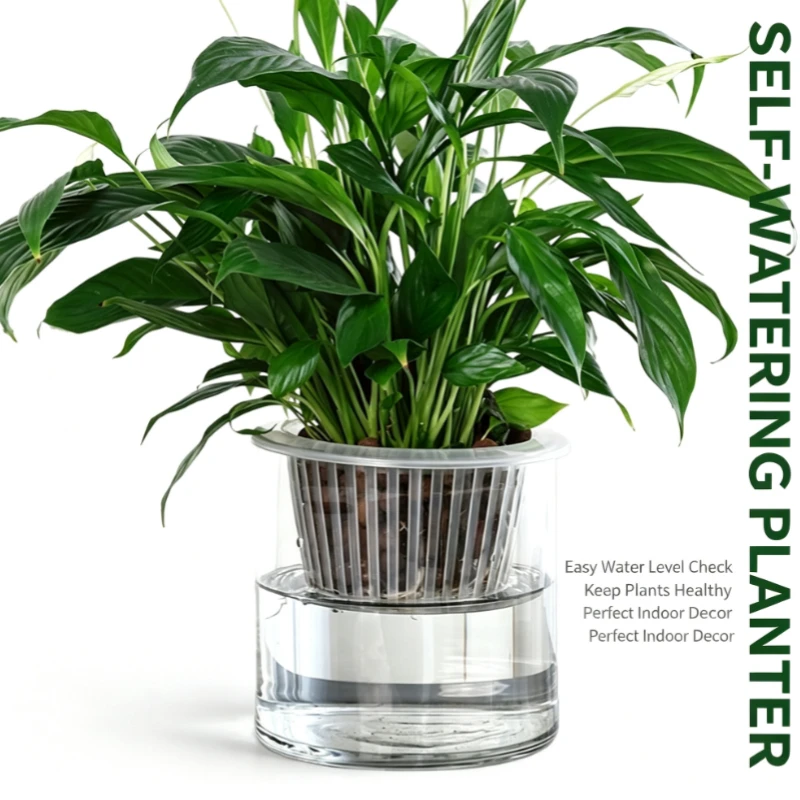 Clear Glass Hydroponic Vase with White Basket, Cylindrical Planter for Pothos & Indoor Plants, Modern Desktop Decor